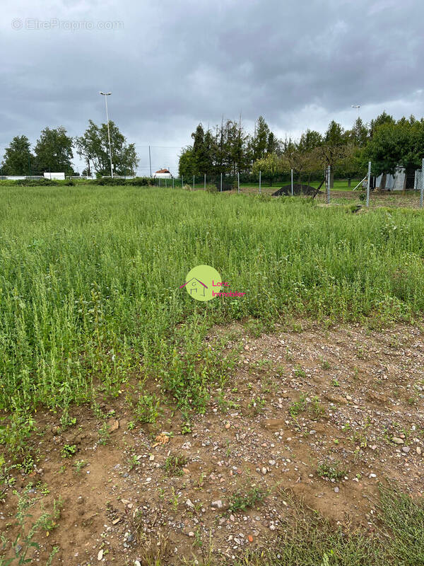 Terrain à SCHNERSHEIM