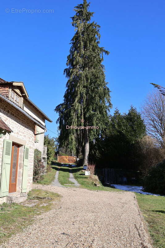 Maison à SAINT-LEGER-LA-MONTAGNE