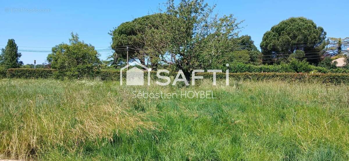 Photo 4 - Terrain à LAVERNOSE-LACASSE