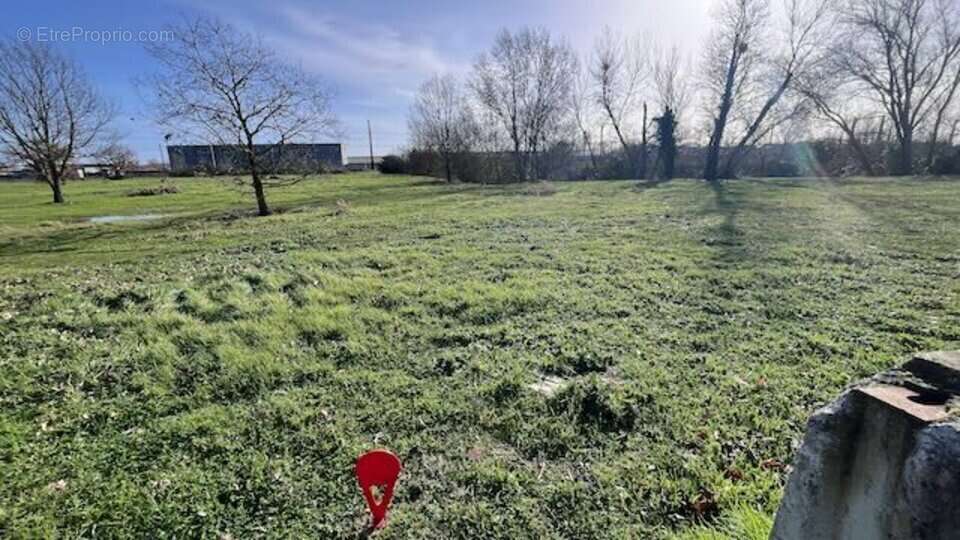 Terrain à MURET
