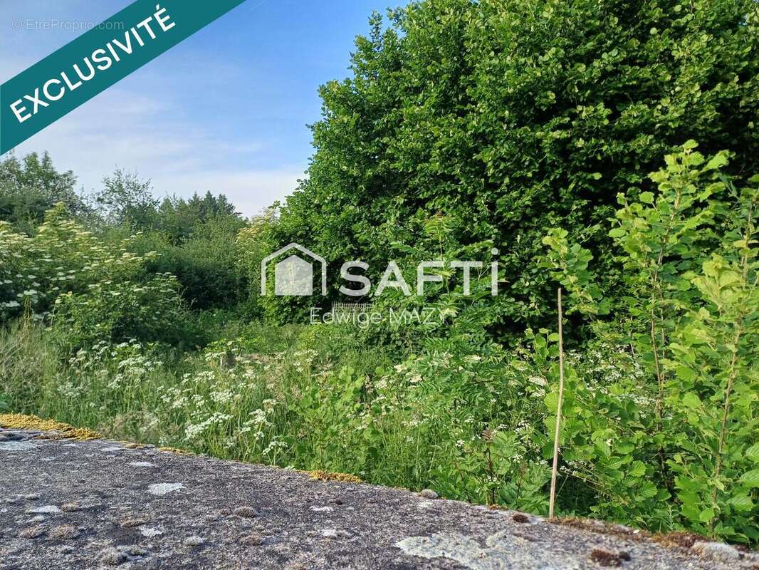 Photo 4 - Terrain à MAINSAT