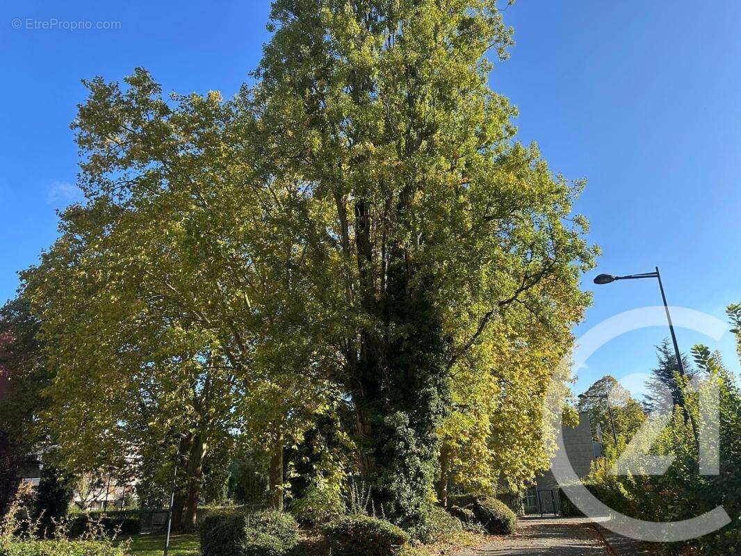 Appartement à FONTENAY-SOUS-BOIS