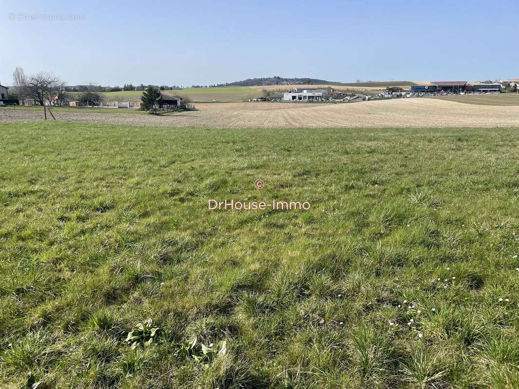 Terrain 3140 m² à Villebois-Lavalette  - photo 10