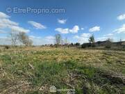 Spacieux terrain de 972 m² - Terrain à CHAILLEVOIS