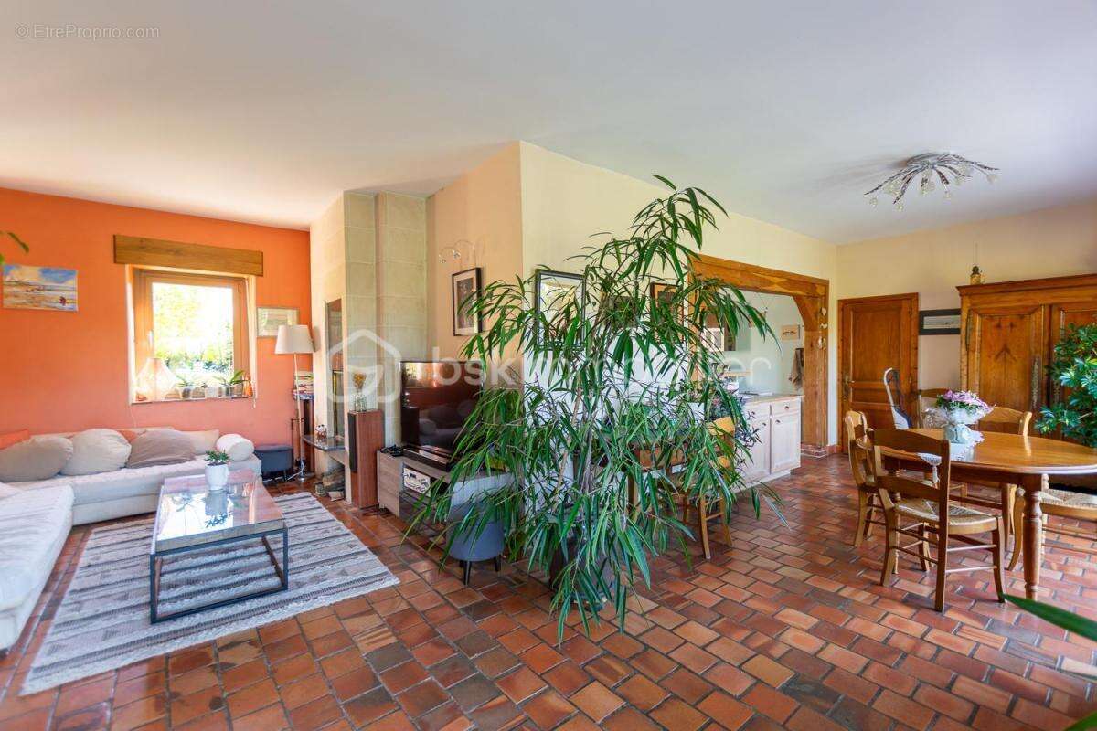 Maison à OUZOUER-SUR-LOIRE