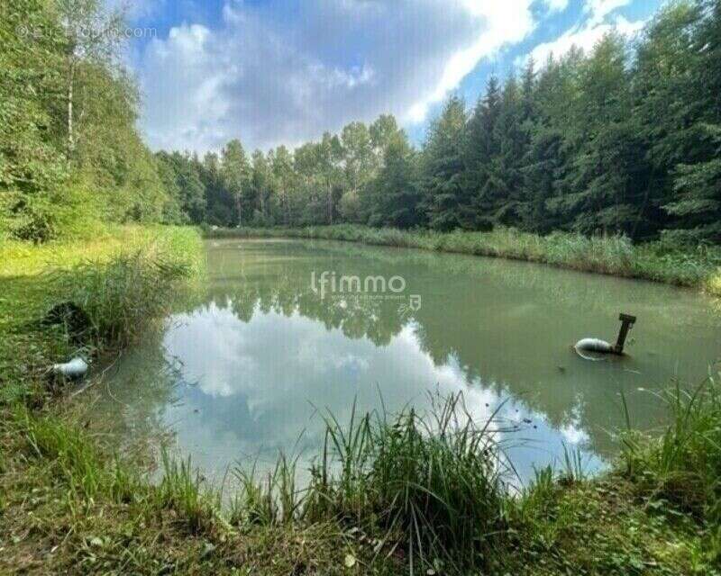 Vente plan d'eau 54480  Cirey Sur Vezouze - photo 4