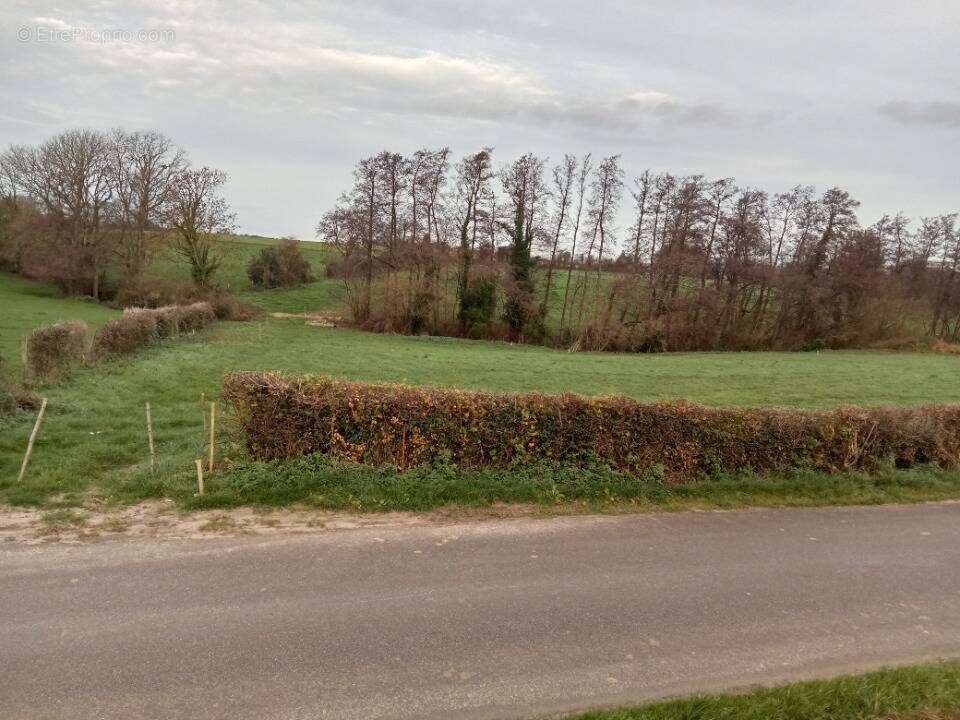 Terrain à TINGRY