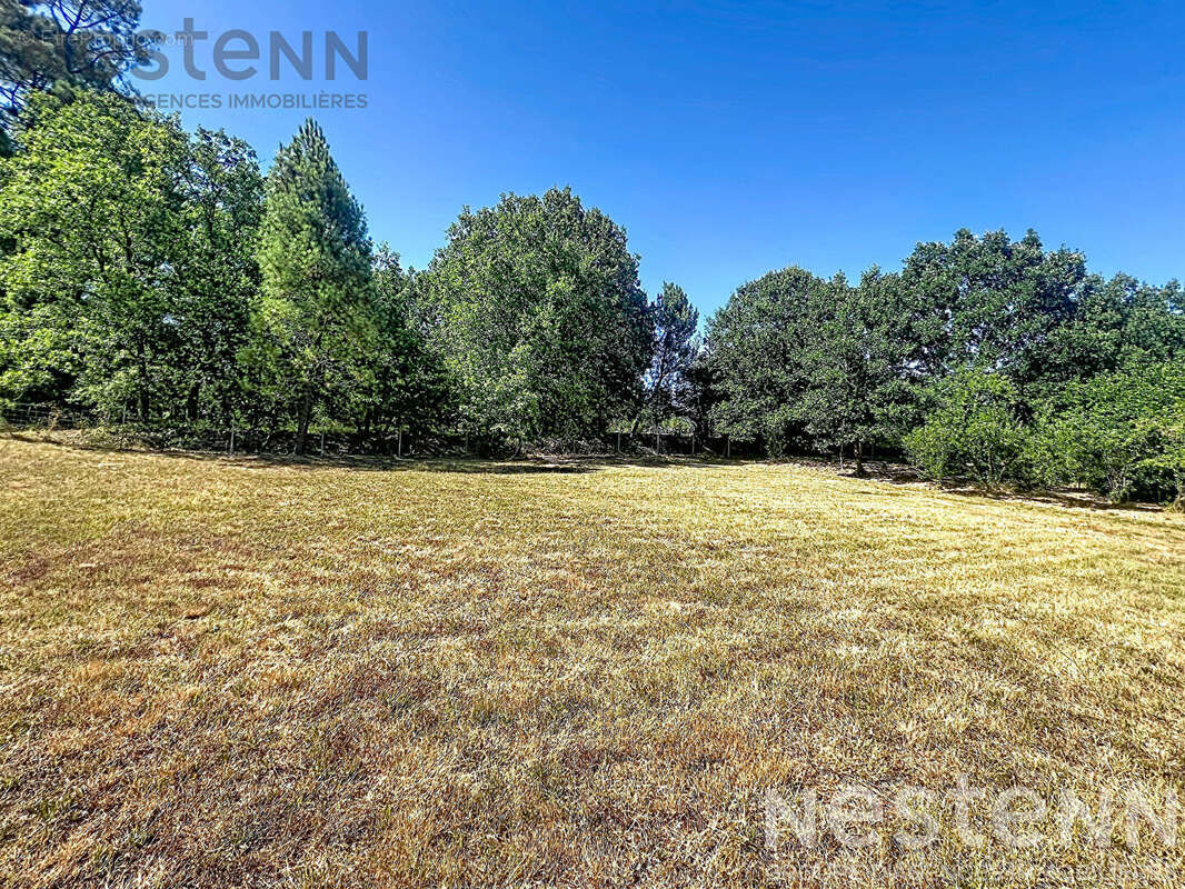 Authentique mas cévenole en pierre avec gîte, terrain plat et 2,5 ha de forêt à 15 min d'Anduze - photo 14