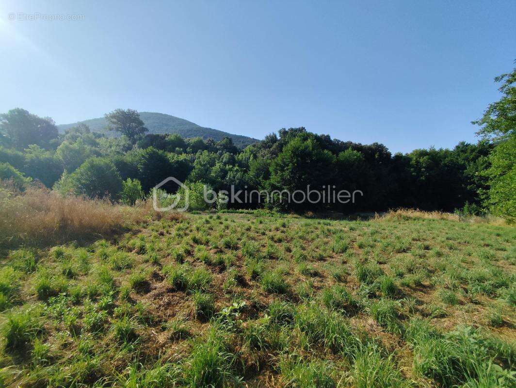 Maison à SAINT-ETIENNE-D&#039;ALBAGNAN