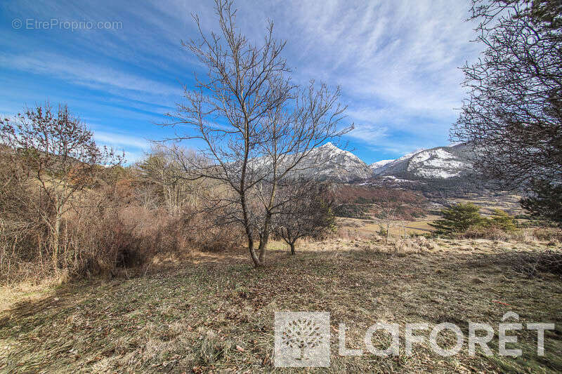 Maison à CHATEAUROUX-LES-ALPES