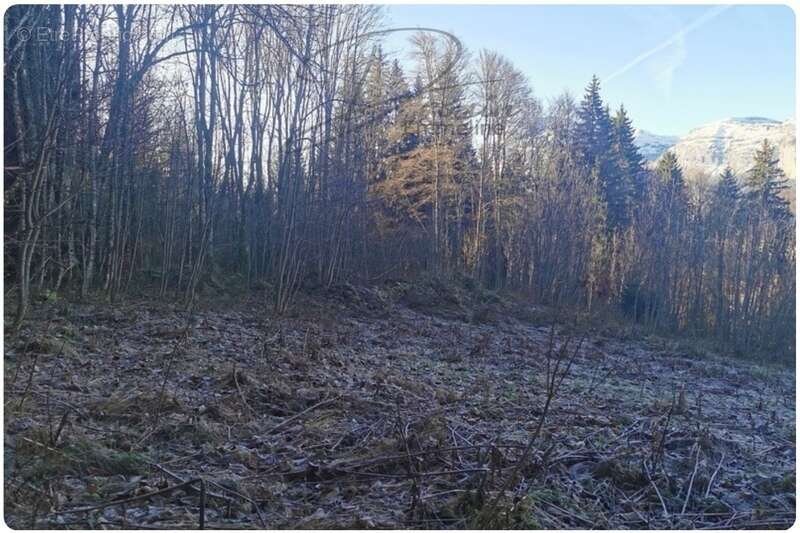 Terrain à ARACHES-LA-FRASSE