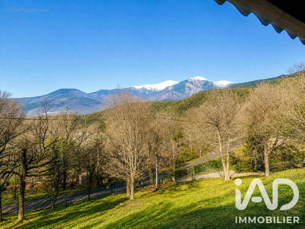 Maison 57 m² à Montbolo  - photo 5