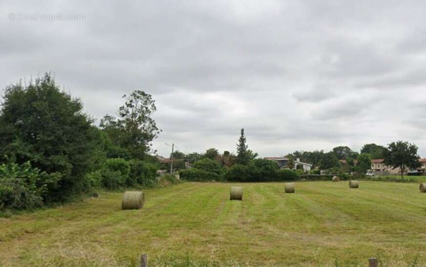 Terrain à VALENTINE
