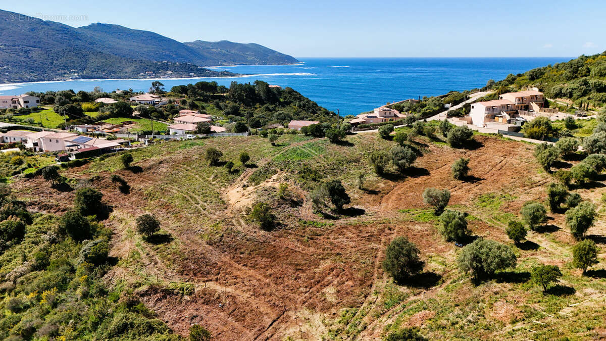 Terrain à AJACCIO