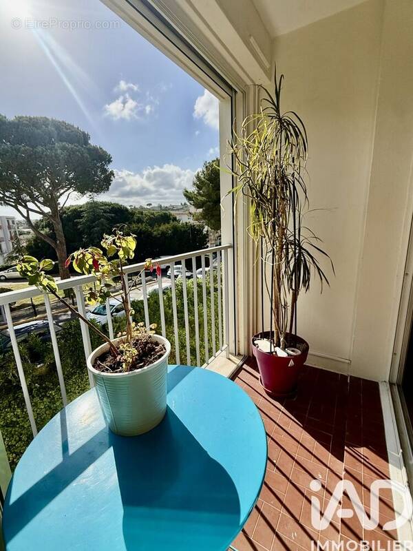 Photo 1 - Appartement à SAINT-LAURENT-DU-VAR