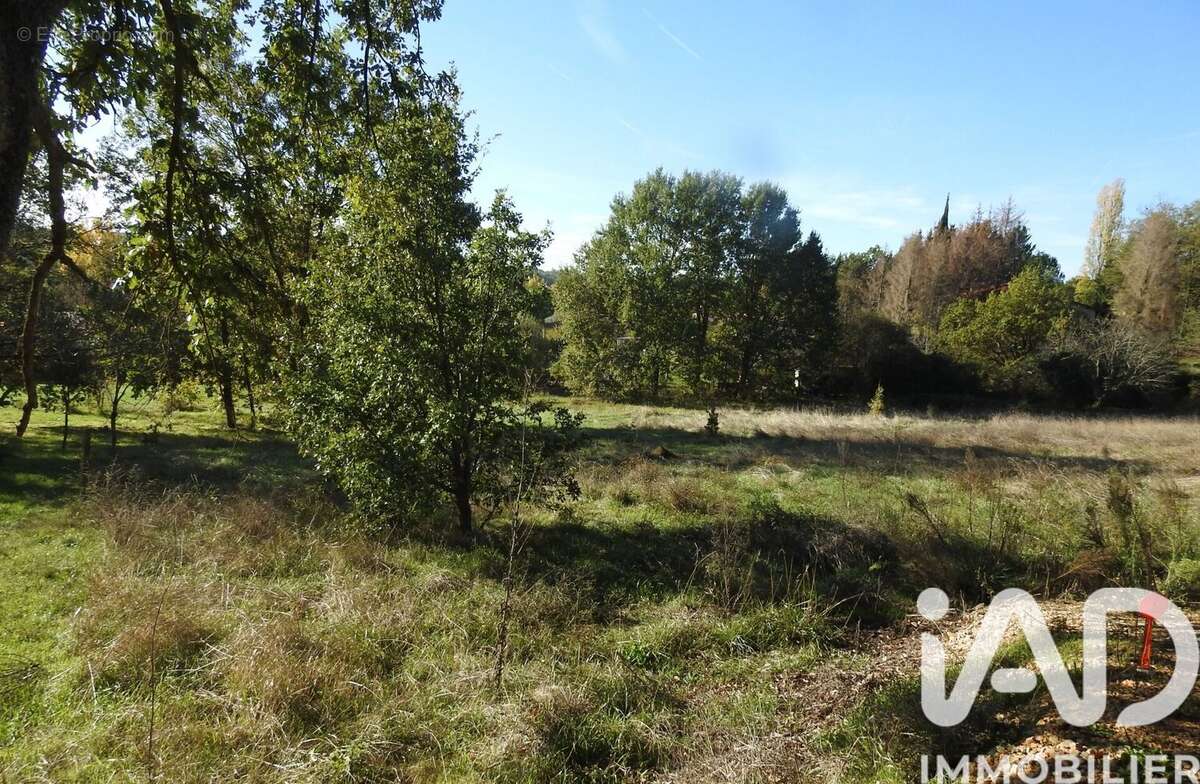 Terrain 1502 m² à La Salvetat-Belmontet  - photo 3