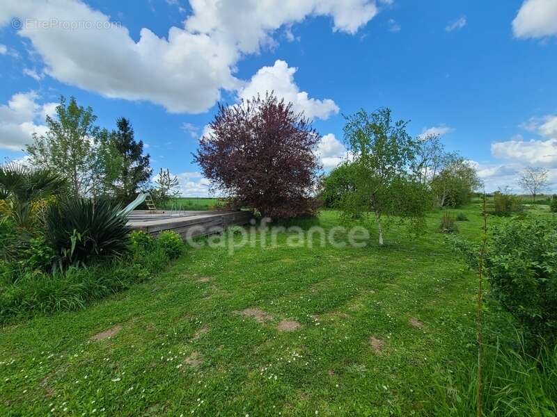 Maison charentaise LA BROUSSE proche Matha (17) - photo 20