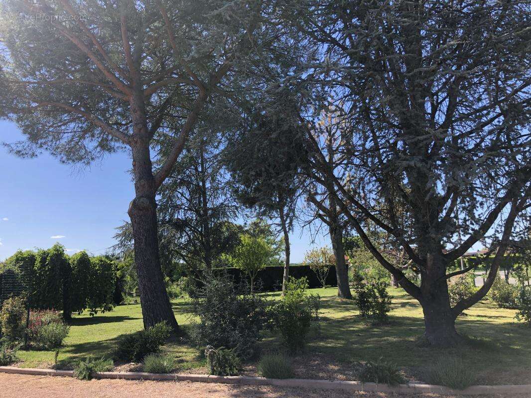 Maison à LACOURT-SAINT-PIERRE