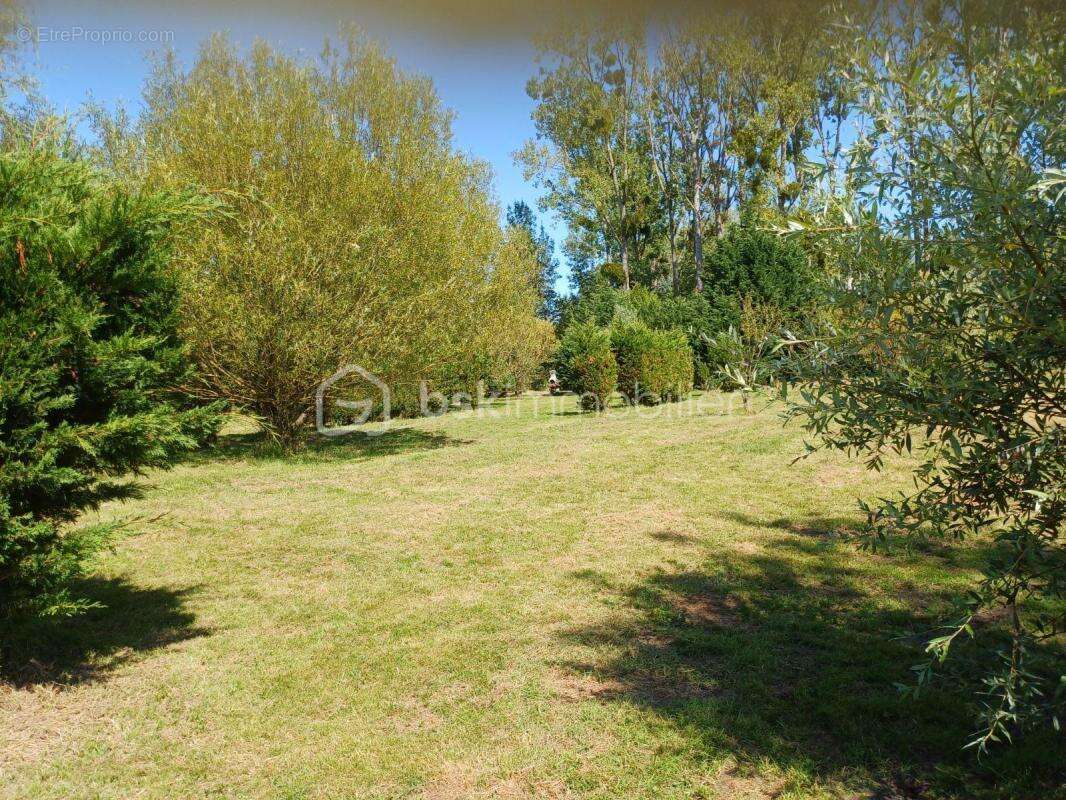Terrain à NIHERNE