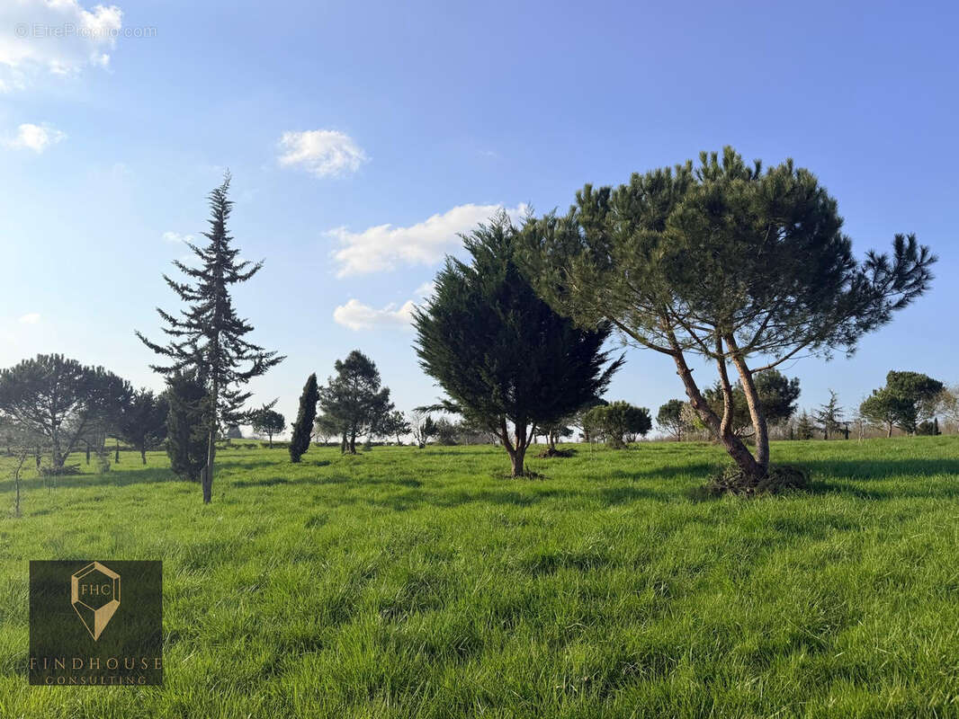 Propriété d’exception   vue panoramique pyrénées   11 hectares   sans vis-à-vis - photo 22