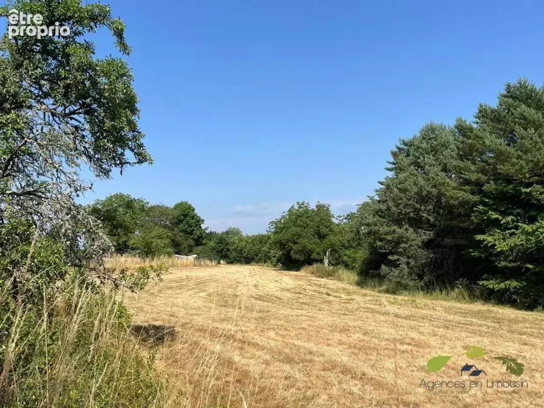 Terrain à CHATEAUNEUF-LA-FORET