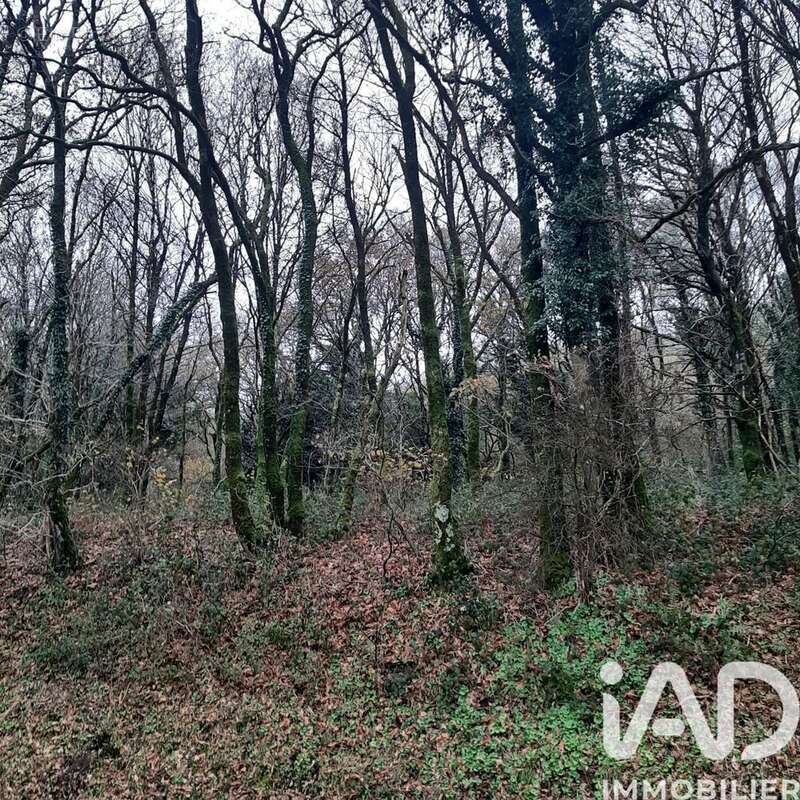 Photo 2 - Terrain à CAUREL