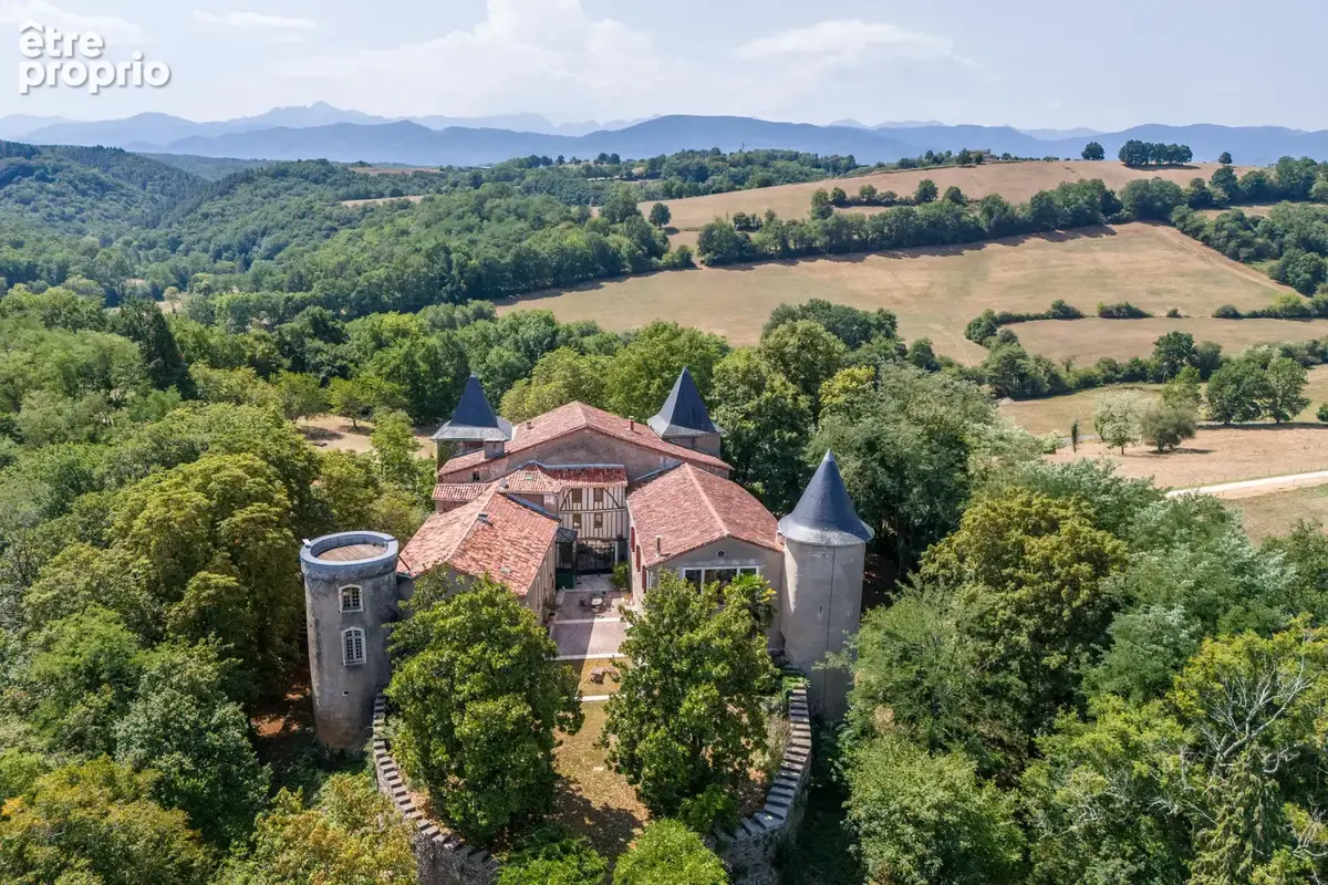 Château - Une situation magnifique et des intérieurs époustouflants - photo 12