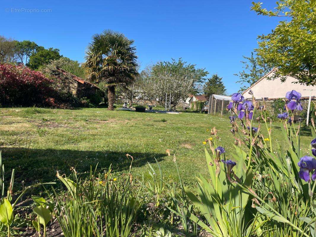 Maison à SAINT-DENIS-LA-CHEVASSE