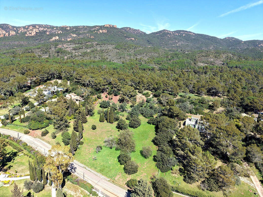 Terrain à PUGET-SUR-ARGENS