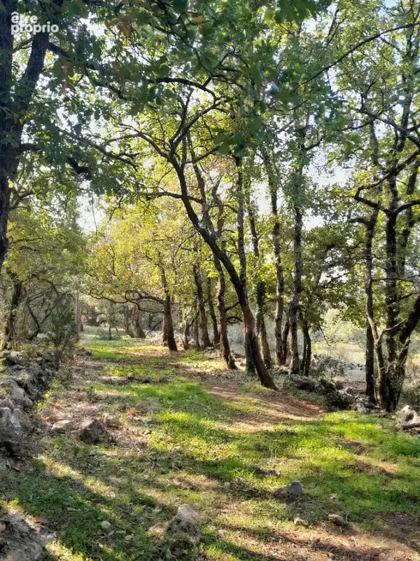 Terrain 3 000 m² à vendre à Saint-Maximin-La-Sainte-Baume (83470) - photo 4
