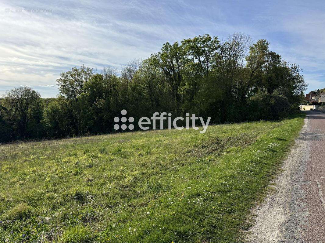 Terrain 2261 m² à Montreuil-Aux-Lions  - photo 8