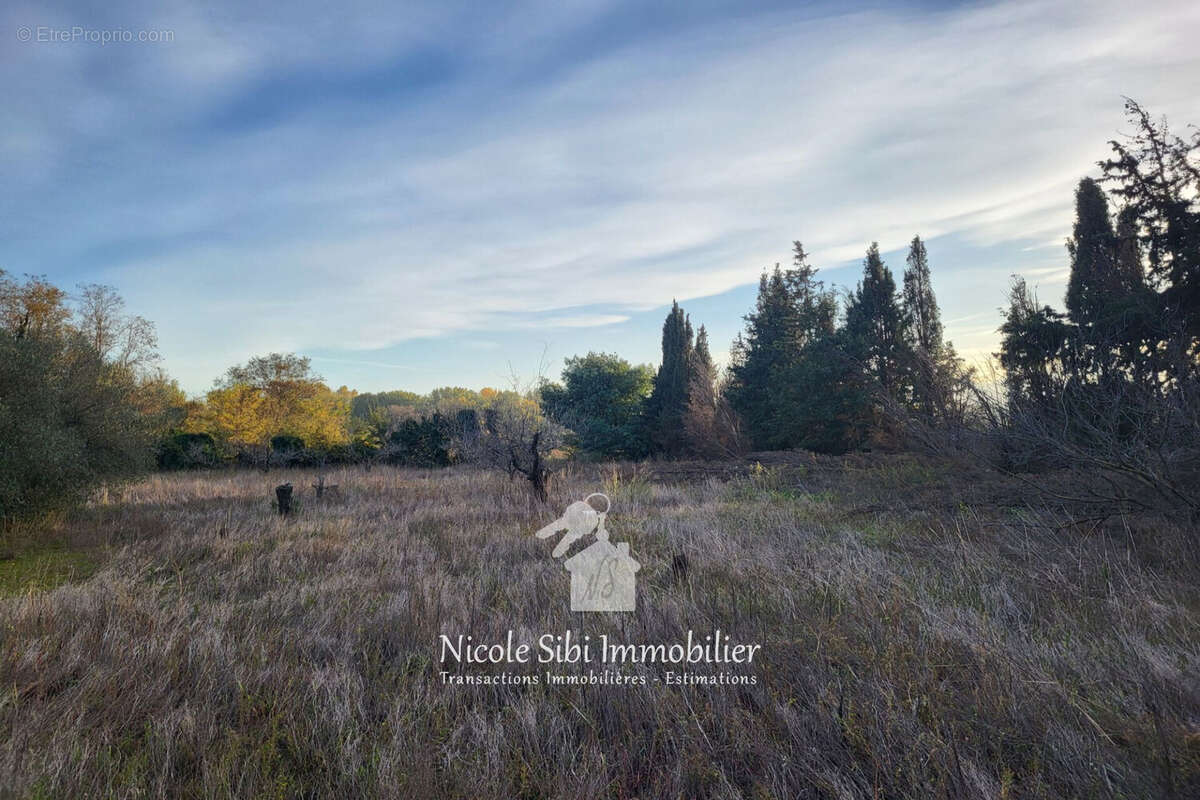 Terrain à CORNEILLA-LA-RIVIERE