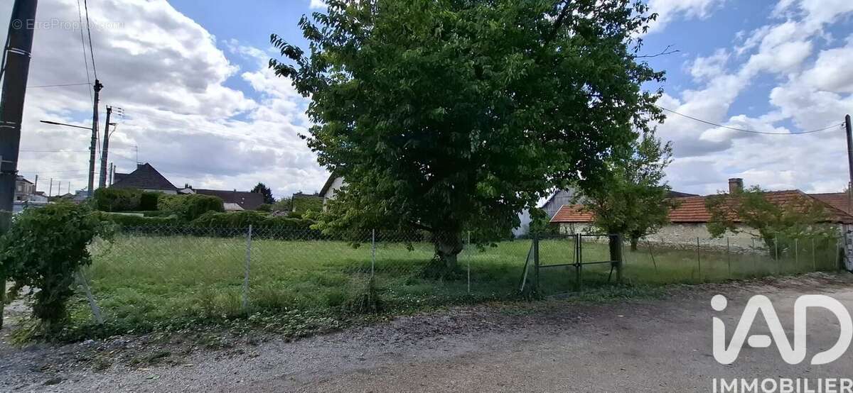 Photo 2 - Terrain à MESGRIGNY