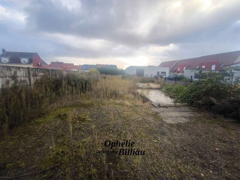 Terrain à SAINT-VENANT