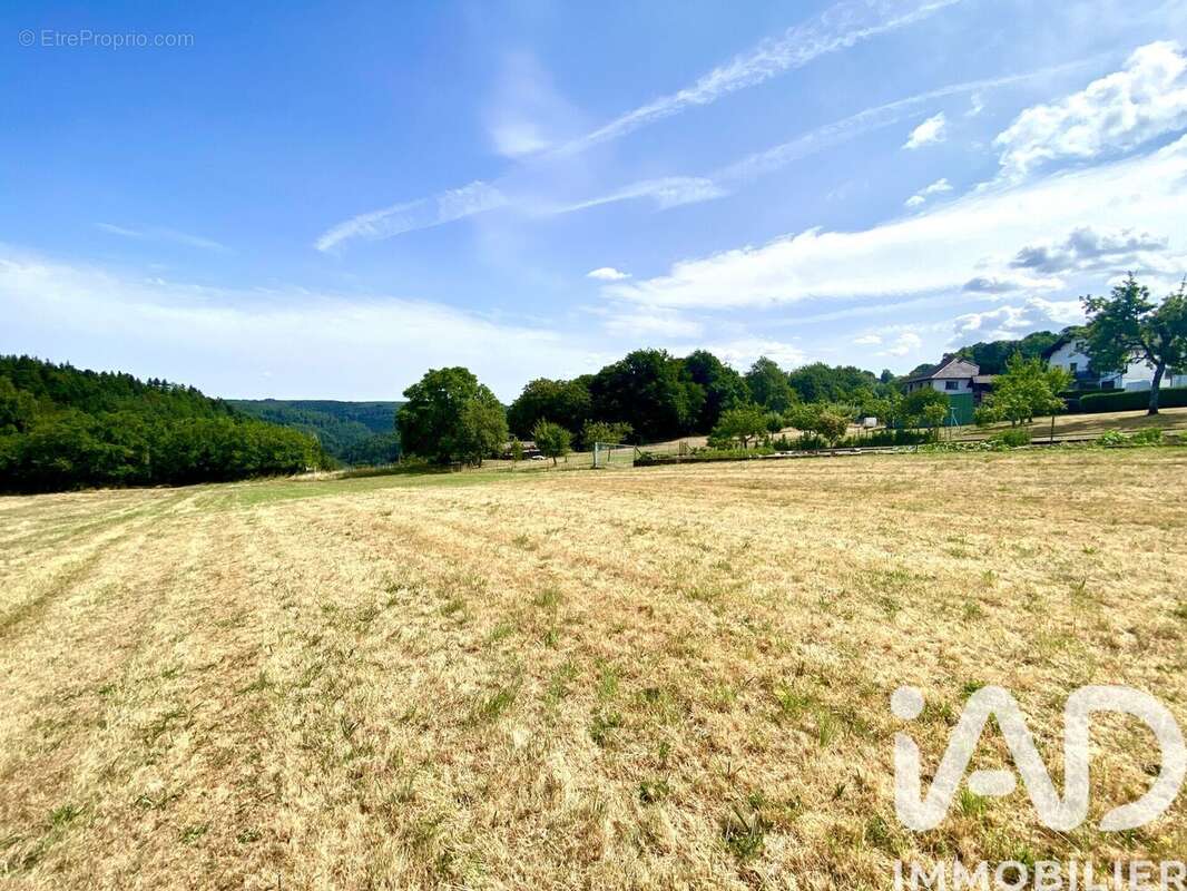 Photo 4 - Terrain à HOMMERT