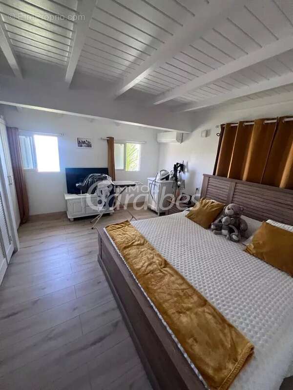 Maison à CAPESTERRE-BELLE-EAU