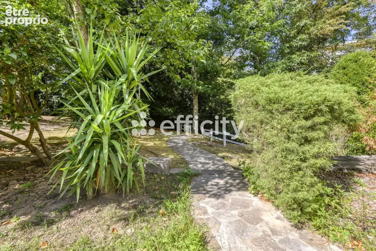Appartement - photo 5