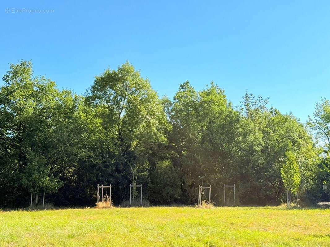 Terrain à ROCHES-PREMARIE-ANDILLE