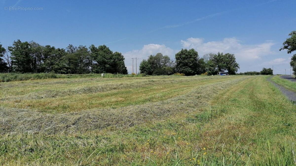 Terrain à CASSAGNES-BEGONHES