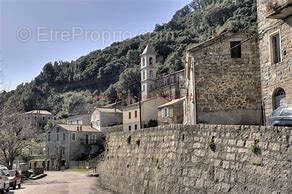 Terrain à LORETO-DI-TALLANO