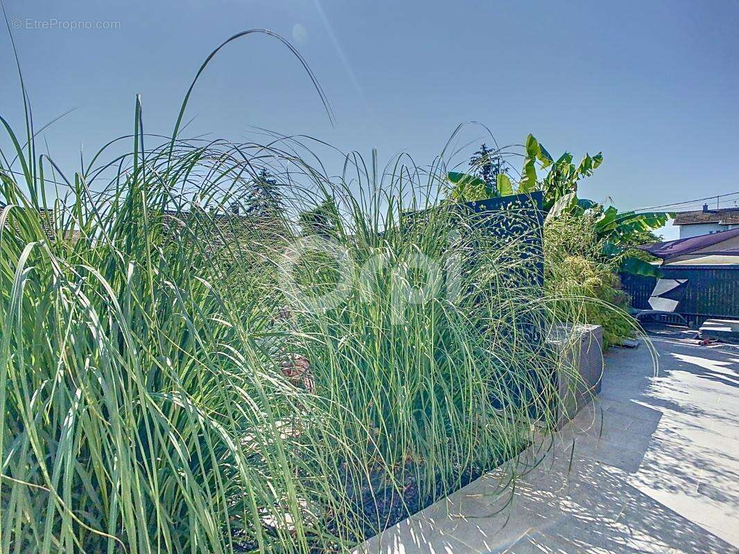 Maison à BATTENHEIM