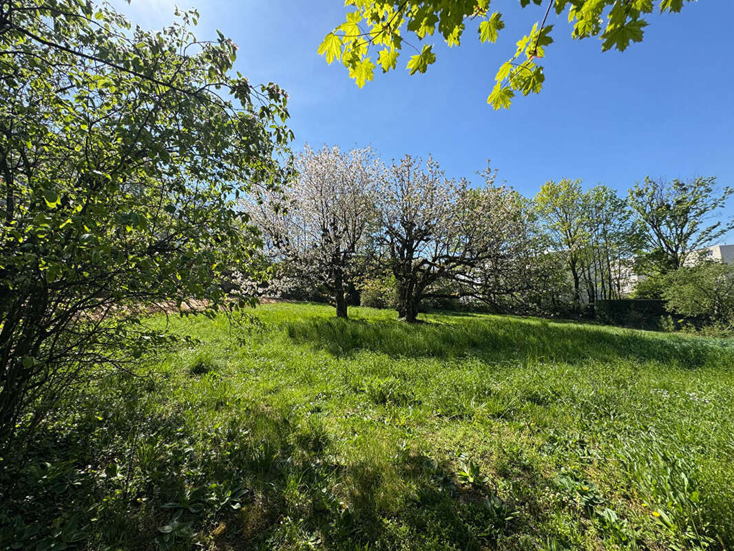 Terrain à SAINTE-FOY-LES-LYON