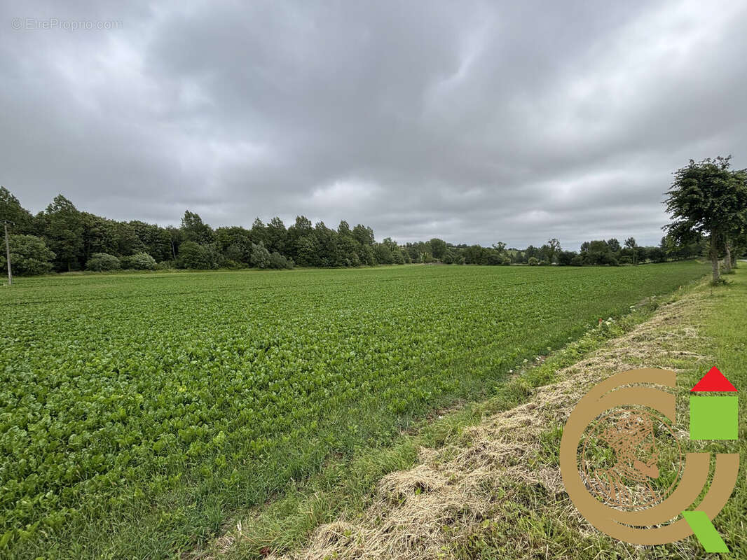Terrain 776 m² à Longvilliers  - photo 2