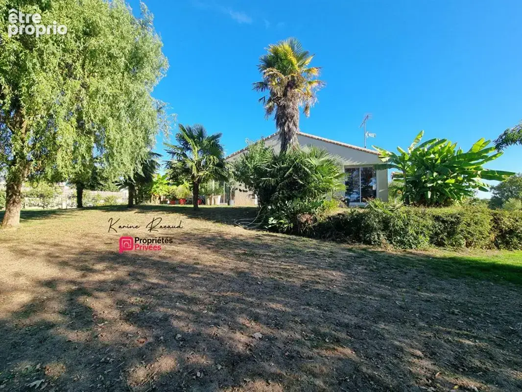 Maison 3 chambres 166 m² -  sous-sol total  - terrain 4800 m² - potentiel foncier - photo 15