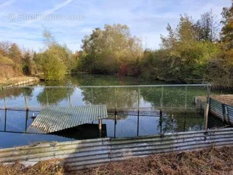 Terrain à STRASBOURG