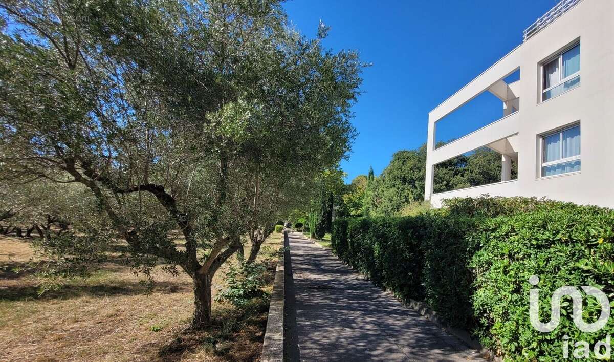 Photo 7 - Appartement à MONTPELLIER