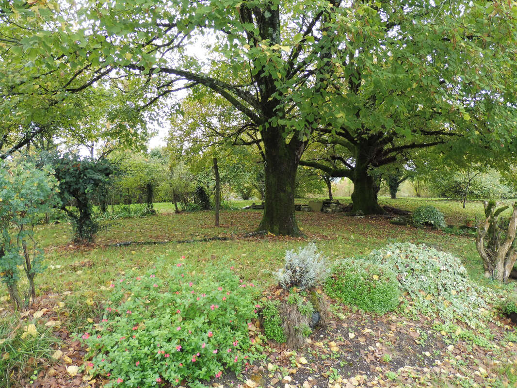 Maison à BOUTEILLES-SAINT-SEBASTIEN