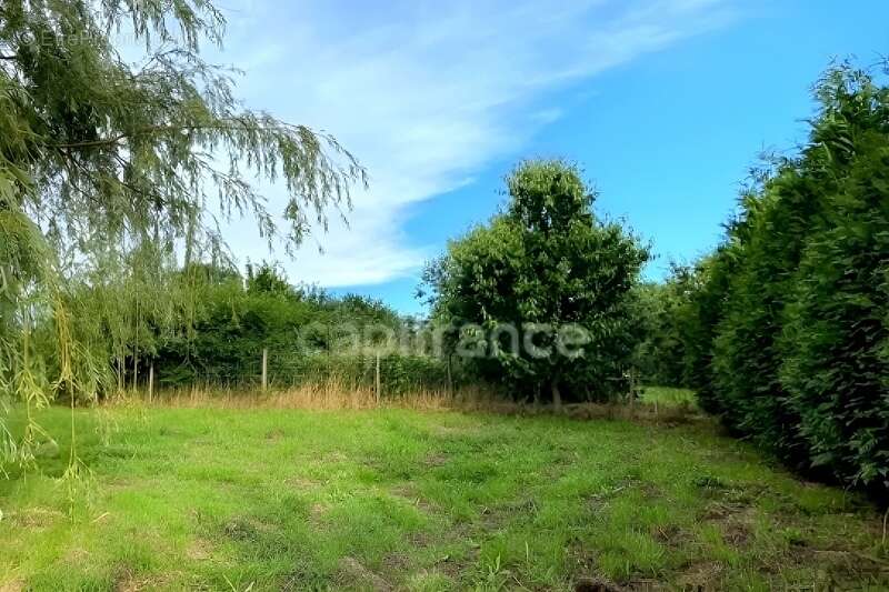 Terrain à BAIN-DE-BRETAGNE