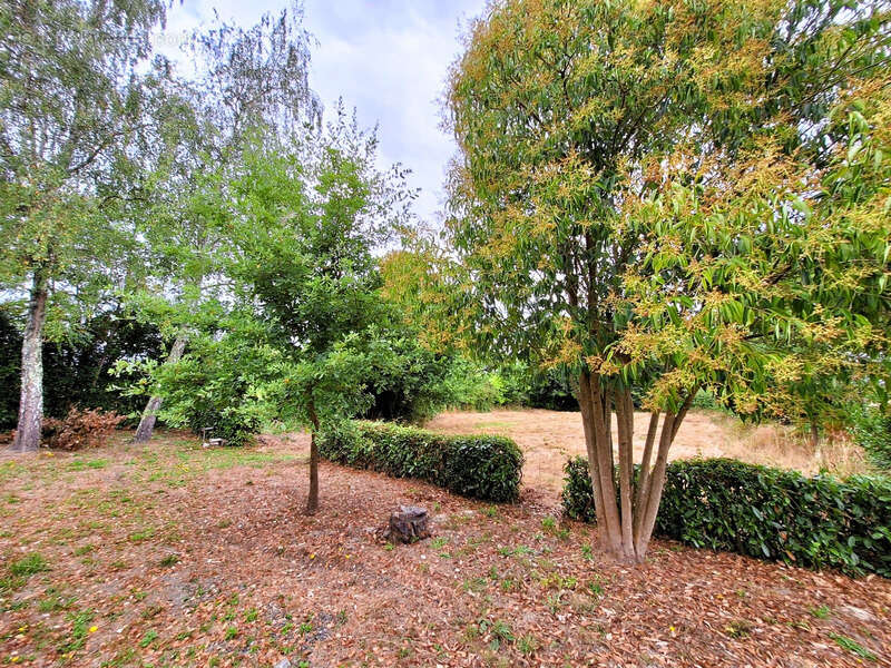 Maison à CASTELNAU-RIVIERE-BASSE