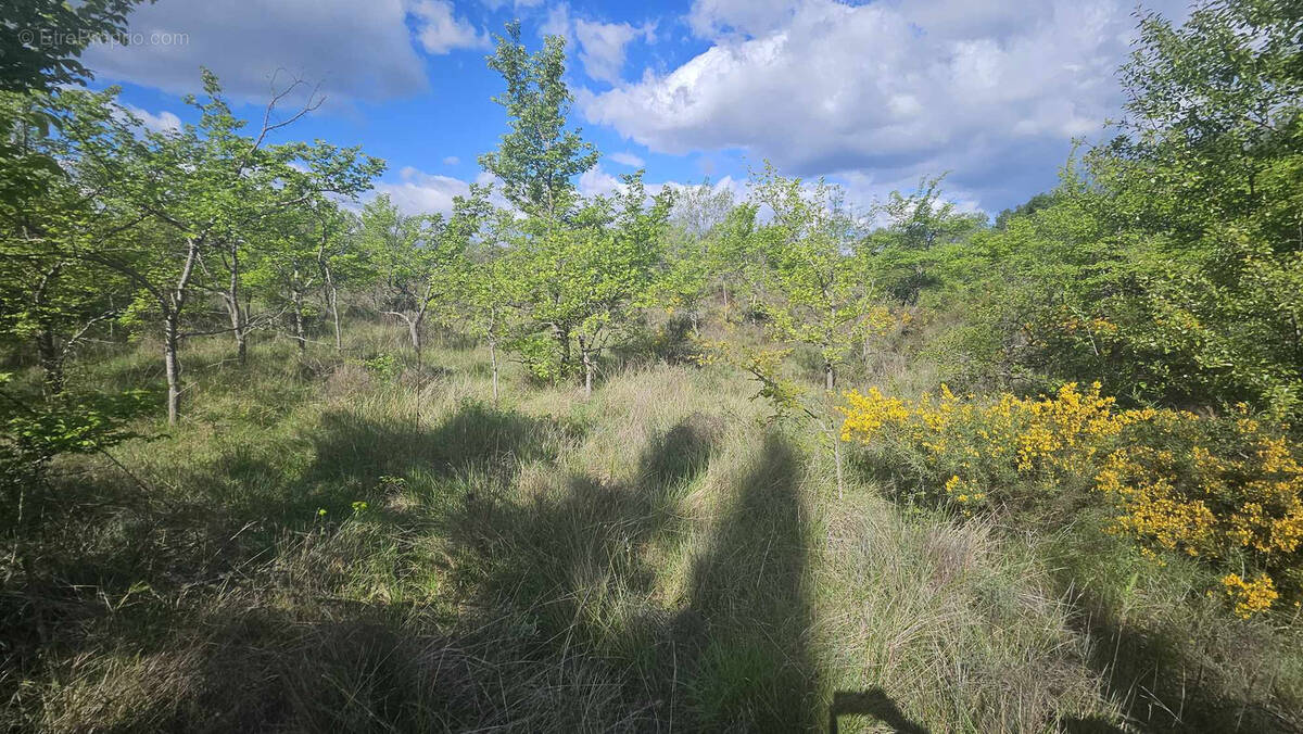 Terrain à GALARGUES